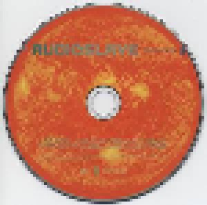 Audioslave: Revelations (CD + DVD) - Bild 3