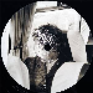 Porcupine Tree: In Absentia (2-LP) - Bild 5