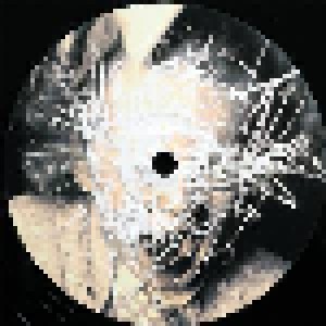 Porcupine Tree: In Absentia (2-LP) - Bild 7