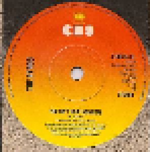 The Byrds: Turn! Turn! Turn! (To Everything There Is A Season) (7") - Bild 3