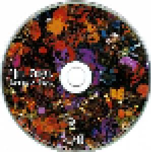 The Coral: Butterfly House (CD) - Bild 3