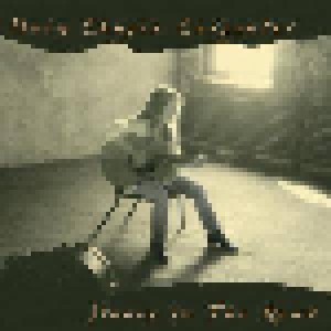 Mary Chapin Carpenter: Stones In The Road (CD) - Bild 1