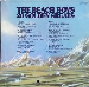 The Beach Boys: 20 Golden Greats (LP) - Bild 2