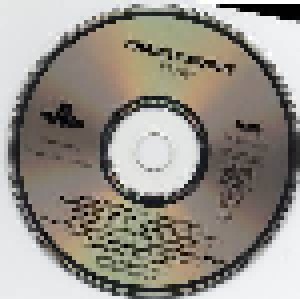 Christy Moore: Voyage (CD) - Bild 3