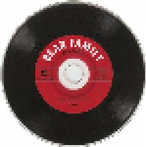 Gitte: Nur Ein Bisschen Glück - Die Singles 1963 Bis 1967 (CD) - Bild 2