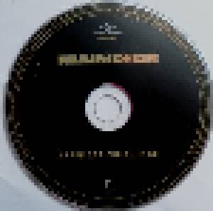 Rammstein: Liebe Ist Für Alle Da (CD) - Bild 4