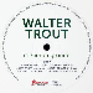 Walter Trout: Common Ground (LP) - Bild 6