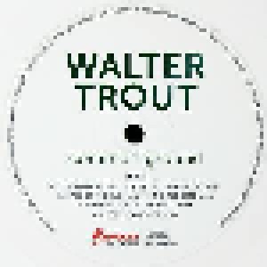 Walter Trout: Common Ground (LP) - Bild 7