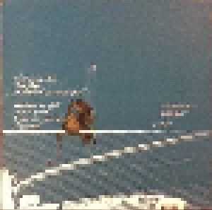 Grizzly Bear: Sorry For The Delay (LP) - Bild 2