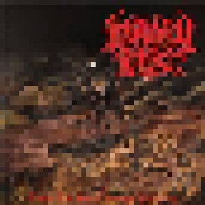 Cover - Unholy Lust: Taste The Sin Through The Fire