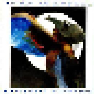 Jade Warrior: Distant Echoes (CD) - Bild 1