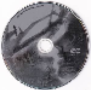 Seether: Disclaimer II (CD + DVD) - Bild 4