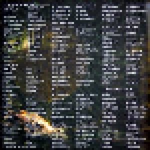 Blind Guardian: A Twist In The Myth (2-LP) - Bild 3