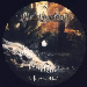 Blind Guardian: A Twist In The Myth (2-LP) - Bild 7
