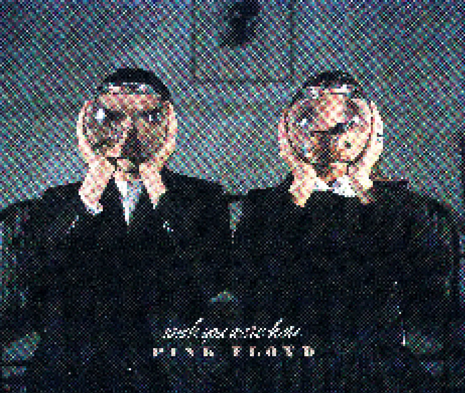 Wish You Were Here | Single-CD (1995, Live) von Pink Floyd