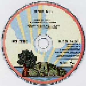 Nick Drake: Bryter Layter (CD) - Bild 3
