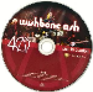 Wishbone Ash: 40 Live In London (2-CD + DVD) - Bild 3