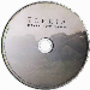 Devin Townsend: Terria (CD) - Bild 4