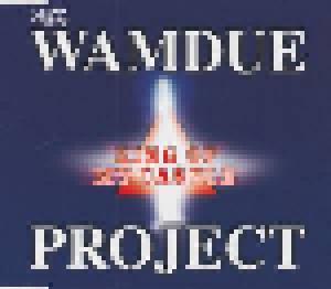 Wamdue Project: King Of My Castle - Cover