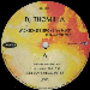 DJ Thomilla Feat. Gentleman + DJ Thomilla Feat. Spezializtz, Hausmarke: Wickedness Broke Ya Neck (Split-12") - Bild 3