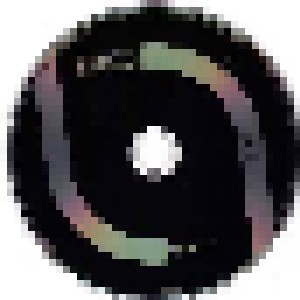 Acoustic Ladyland: Skinny Grin (CD) - Bild 4