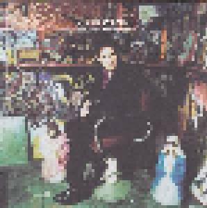 Steve Wynn: What I Did After My Band Broke Up - The Best Of Steve Wynn (1990-2004) (2-CD) - Bild 3