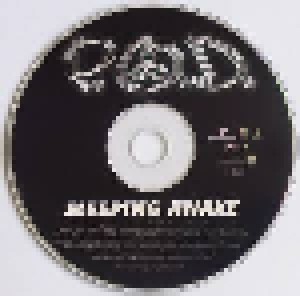 P.O.D.: Sleeping Awake (Promo-Single-CD) - Bild 3