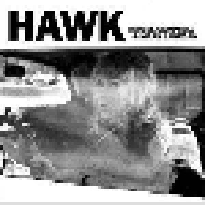 Isobel Campbell & Mark Lanegan: Hawk (CD) - Bild 1