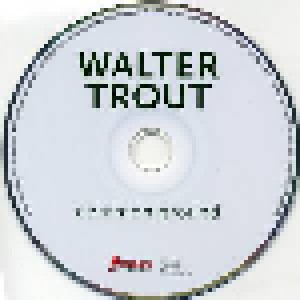 Walter Trout: Common Ground (CD) - Bild 3
