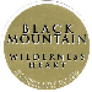 Black Mountain: Wilderness Heart (LP) - Bild 6