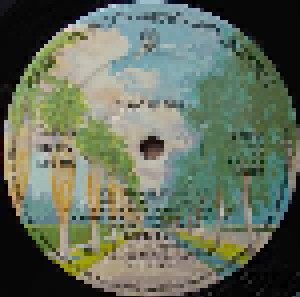 Bonnie Raitt: Takin My Time (LP) - Bild 3