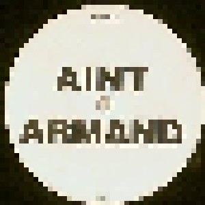 Armand van Helden: Aint Armand (12") - Bild 1