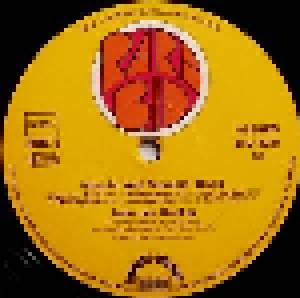John Lee Hooker: Moanin' & Stompin' Blues (LP) - Bild 4
