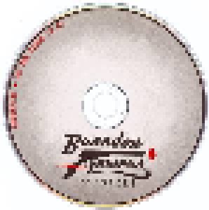 Brandon Flowers: Crossfire (Single-CD) - Bild 4