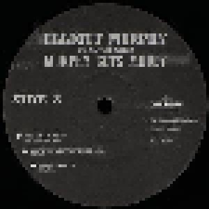 Elliott Murphy: Murphy Gets Muddy (2-LP) - Bild 7