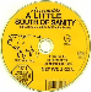 Aerosmith: A Little South Of Sanity (2-CD) - Bild 3