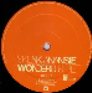 Skunk Anansie: Wonderlustre (2-LP) - Bild 3