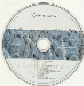 Xavier Naidoo: Zwischenspiel - Alles für den Herrn (2-CD) - Bild 4