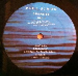 Paul Simon: Surprise (LP) - Bild 3