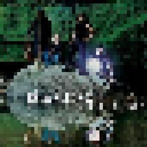 Cover - Béla Fleck & The Flecktones: Hidden Land, The