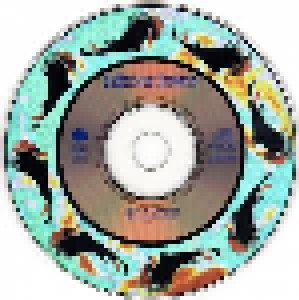 Hothouse Flowers: Isn't It Amazing (2-Single-CD) - Bild 5