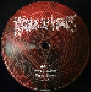 Cradle Of Filth: Darkly, Darkly, Venus Aversa (2-LP) - Bild 9