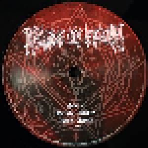 Cradle Of Filth: Darkly, Darkly, Venus Aversa (2-LP) - Bild 10