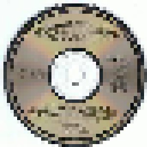 Bonnie Tyler: Secret Dreams And Forbidden Fire (CD) - Bild 3