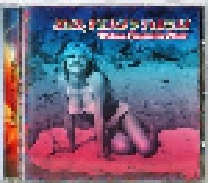 Love, Peace & Poetry - Chilean Psychedelic Music (CD) - Bild 4