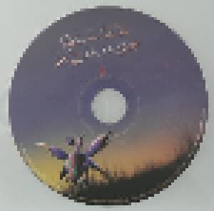 Glass Hammer: If (CD) - Bild 9