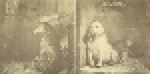 Pavlov's Dog: Pampered Menial (CD) - Bild 3