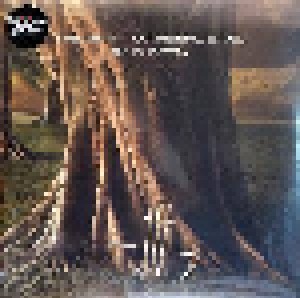 The Devin Townsend Band: Synchestra (2-LP) - Bild 2