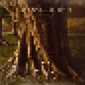 The Devin Townsend Band: Synchestra (2-LP) - Bild 1