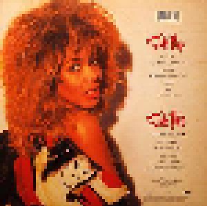 Tina Turner: Break Every Rule (LP) - Bild 2